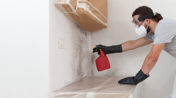 Professional Basement Mold Remediation technician working in Surry, VA