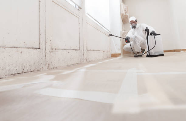 24/7 Emergency Basement Mold Remediation experts in Surry, VA
